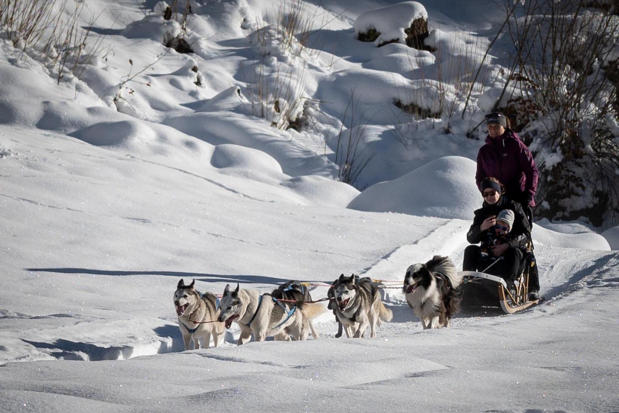 Hüttenhotel Husky Lodge Muotathal Eksteriør billede