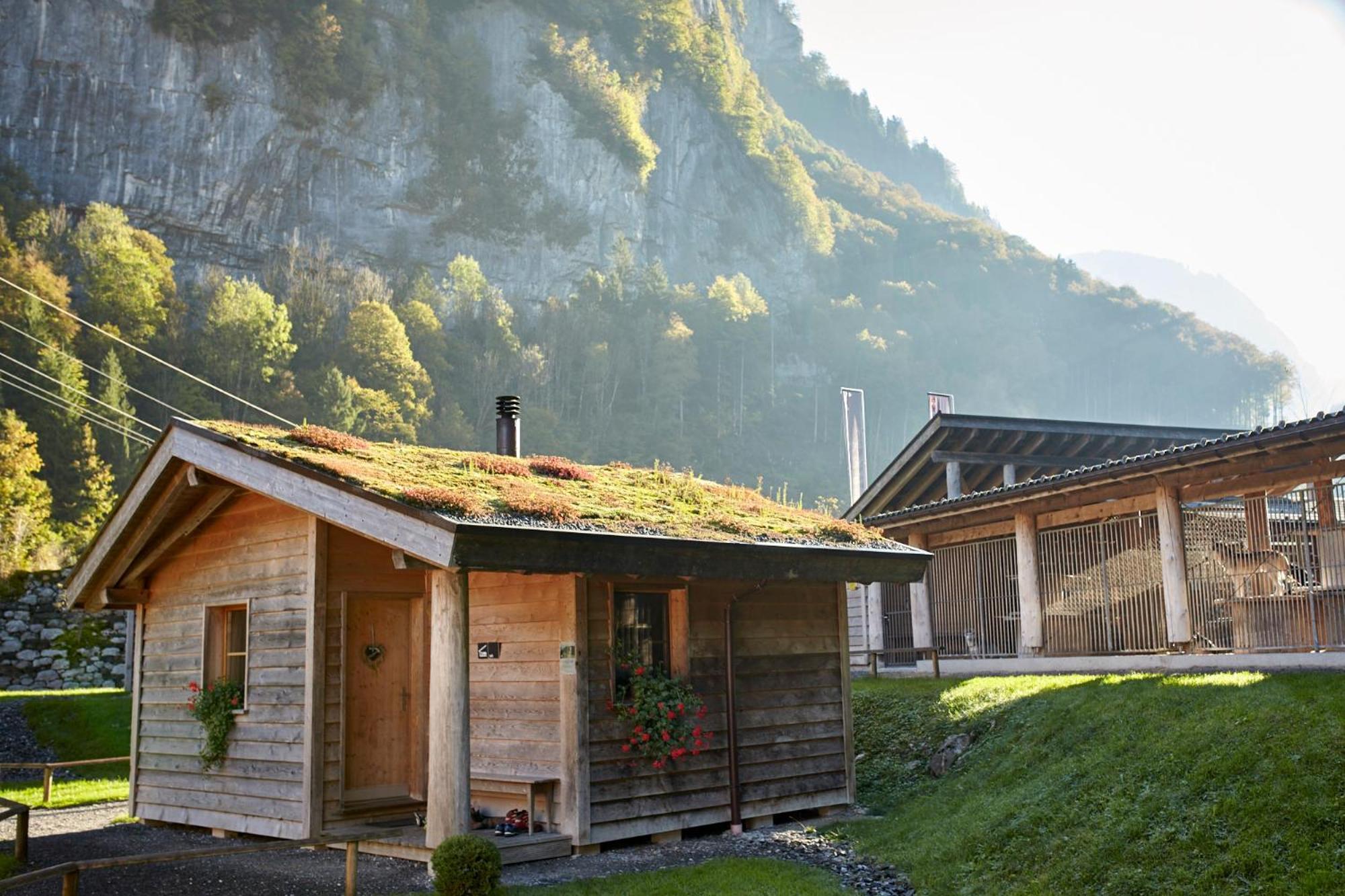 Hüttenhotel Husky Lodge Muotathal Eksteriør billede